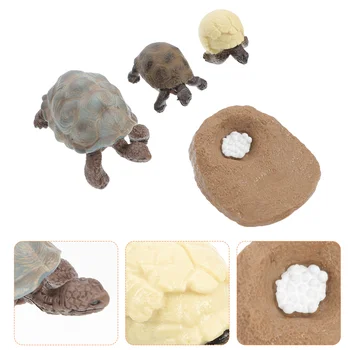 4 Buc Broască Țestoasă Ornament Simulat Viața Jucărie Ciclu De Creștere Turtle Decor Figurine Împodobesc Țestoase Kit