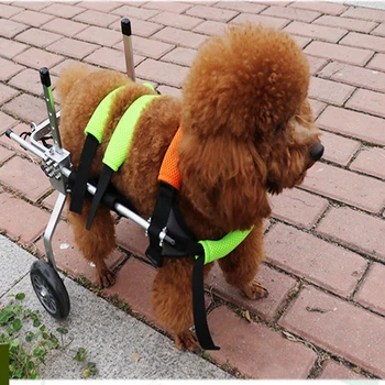Câinele Scaun Cu Rotile Mașină De Pisică Și De Câine Membrelor Posterioare Handicap Paralizat De Formare De Reabilitare Masina De Câine Coloanei Vertebrale Suport Scuter Câine Cărucior